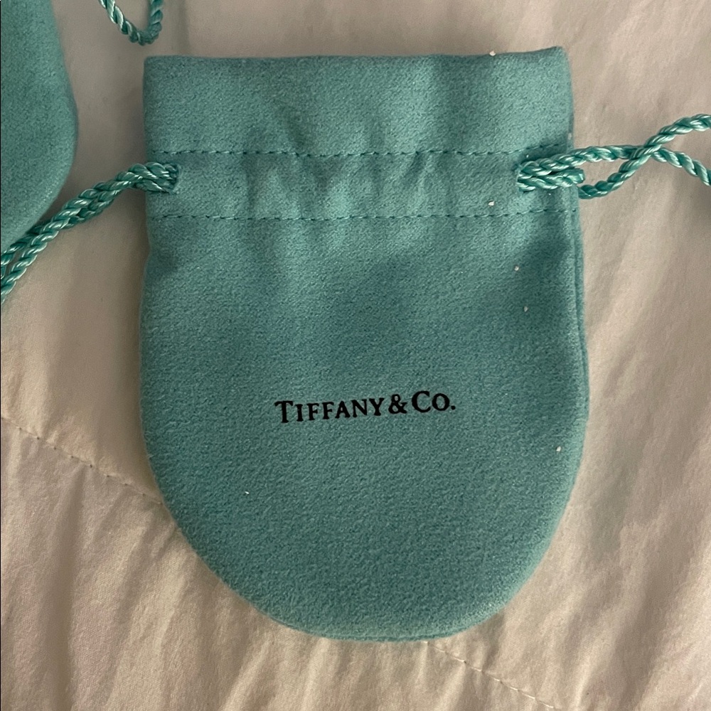 Tiffany & Co. Turquoise Drawstring Pouch - Picture 3 of 4